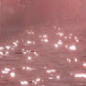 Meet your Posher, Genevieve